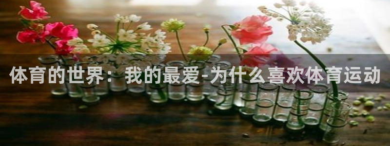 欧亿体育官方正版app集团：体育的世界：我的最爱-为