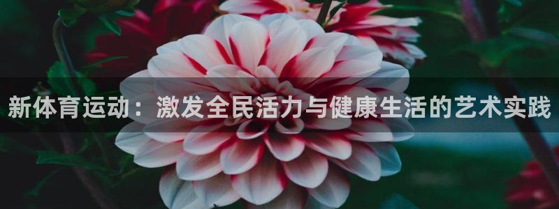oety欧亿体育官网下载招商电话号码是多少：新体育运