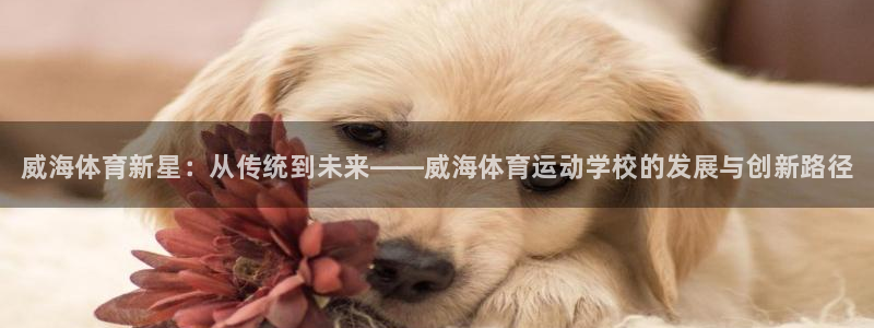 欧亿体育官方正版app新能源：威海体育新星：从传统到