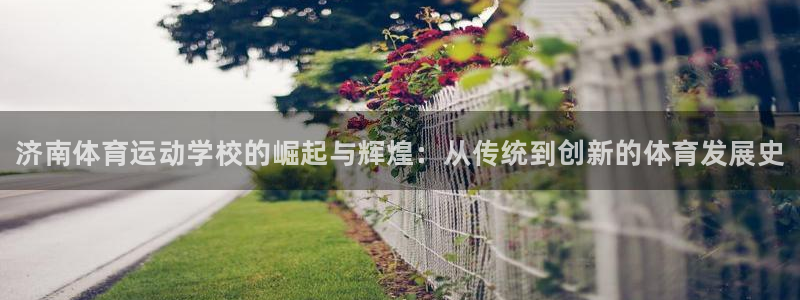 欧亿体育官方正版app代理：济南体育运动学校的崛起与