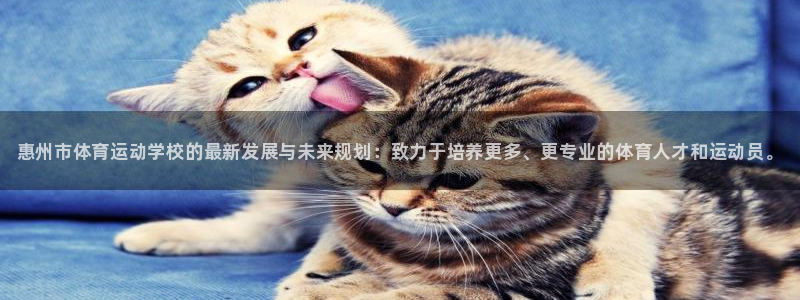 欧亿体育官方正版app集团logo：惠州市体育运动学