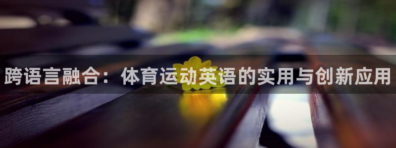 oety欧亿体育官网下载软件：跨语言融合：体育运动英