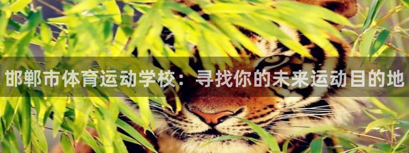 oety欧亿体育官网下载招商电话是多少号码：邯郸市体