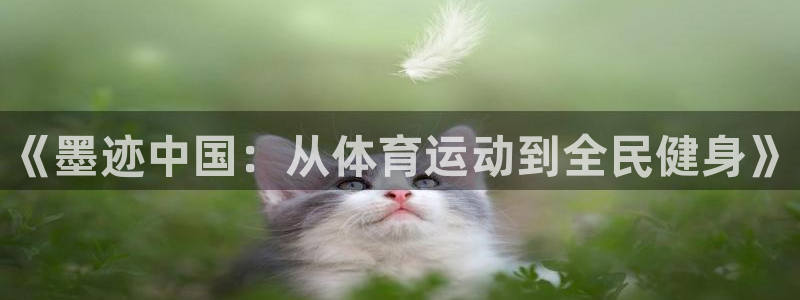 oety欧亿体育官网下载平台是正规平台吗：《墨迹中国
