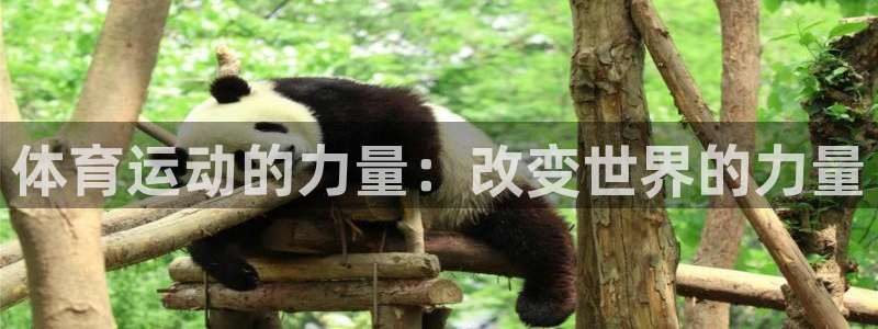 oety欧亿体育官网下载平台注册流程图：体育运动的力量：改变