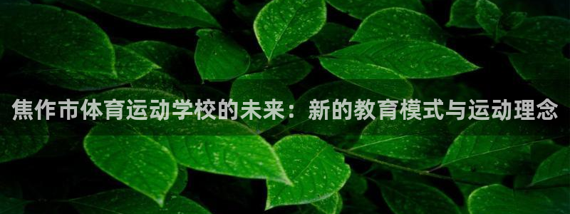 oety欧亿体育官网下载平台APP：焦作市体育运动学校的未来