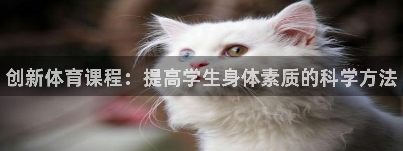 oety欧亿体育官网下载平台是正规平台吗安全吗：创新体育课程