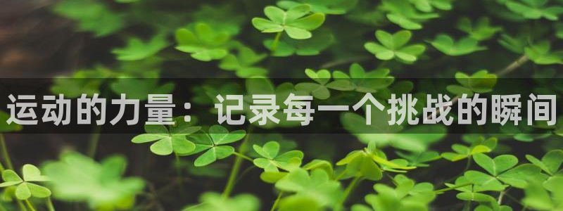 欧亿体育官方正版app娱乐代理怎么样:运动的力量:记录每一个