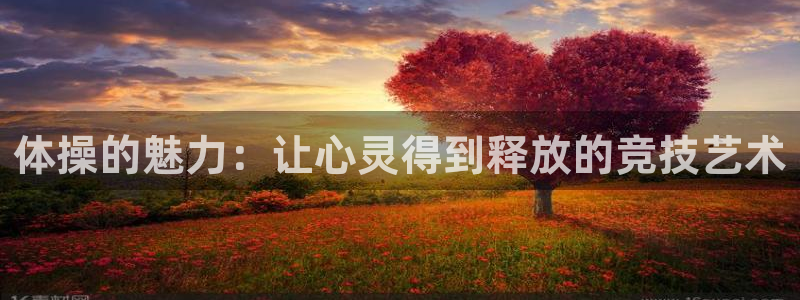 oety欧亿体育官网下载平台注册流程图：体操的魅力：让心灵得