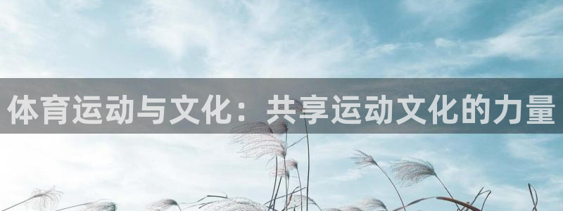 欧亿体育官方正版app集团官网首页：体育运动与文化：共享运动